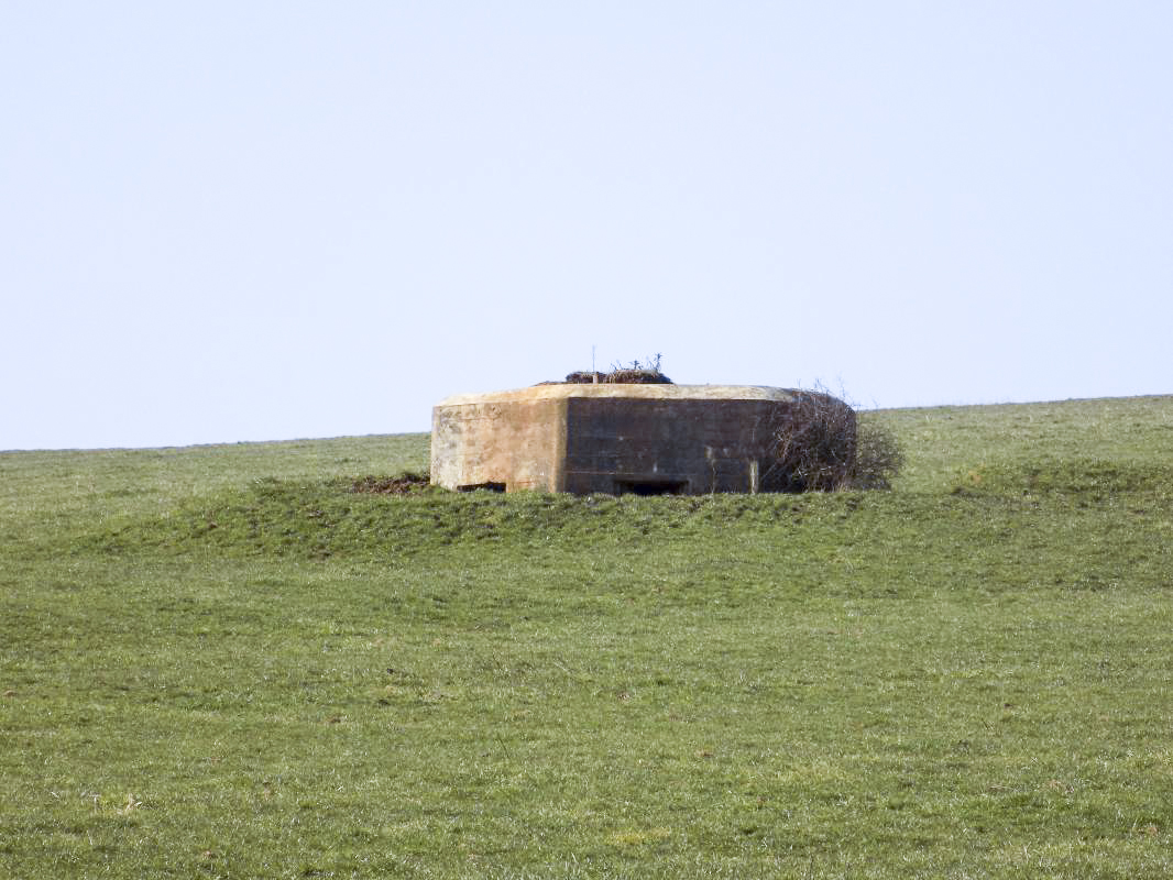 Ligne Maginot - 29B - TRUC DES CHANVRES - (Blockhaus pour canon) - Face frontale