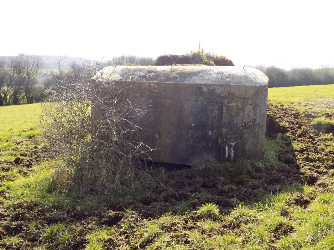 Ligne Maginot - 29B - TRUC DES CHANVRES - (Blockhaus pour canon) - Face gauche