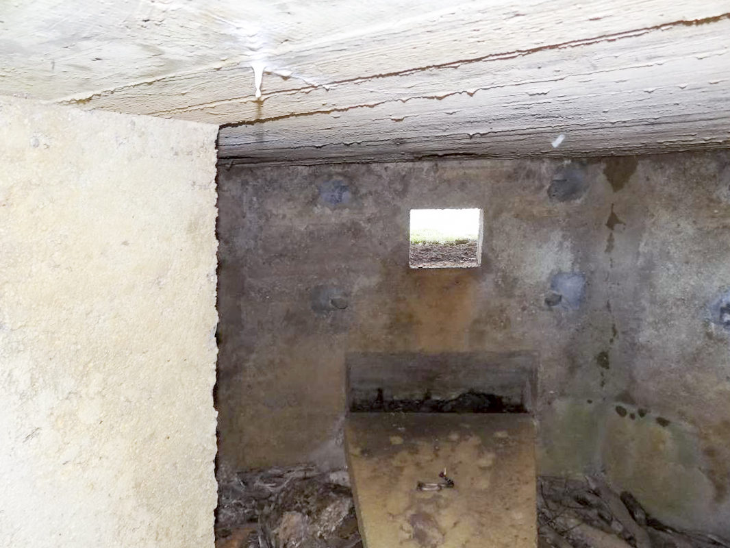 Ligne Maginot - 29B - TRUC DES CHANVRES - (Blockhaus pour canon) - Créneau Hotchkiss vers le nord-ouest