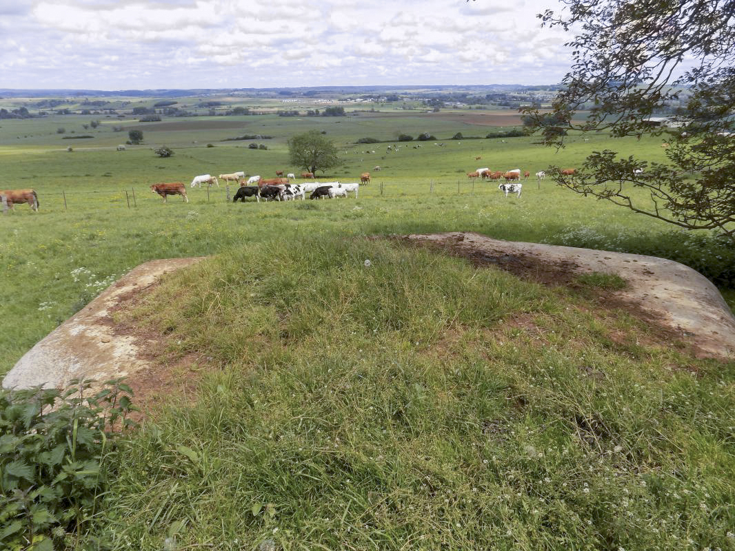 Ligne Maginot - 29C - EUILLY NORD - (Blockhaus pour arme infanterie) - Vue vers le nord-est