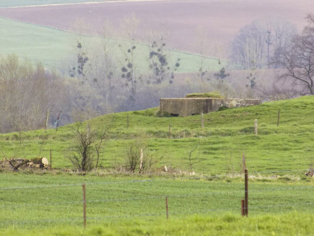Ligne Maginot - 30 - L'EPINETTE SUD - (Blockhaus pour arme infanterie) - Vue vers le sud-est, le blockhaus 31 - La Fabrique - R Tucker