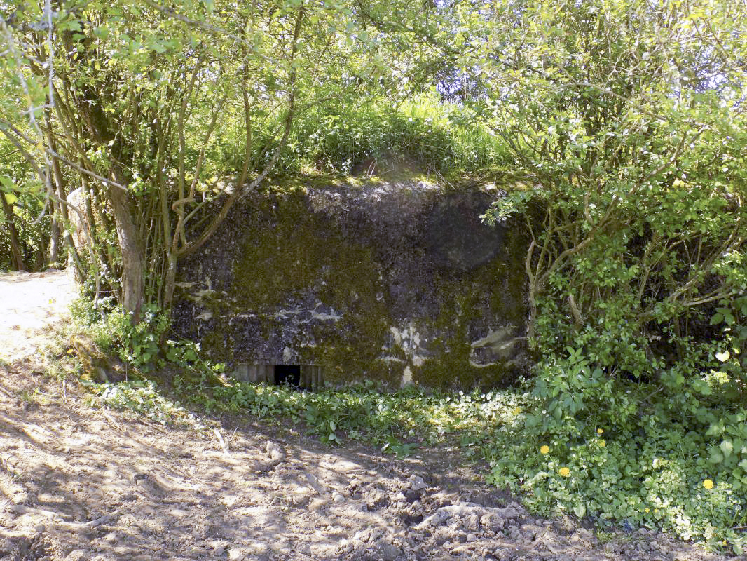 Ligne Maginot - 31TER - FOND DE LA CHAUSSEE EST - (Blockhaus pour canon) - Face frontale