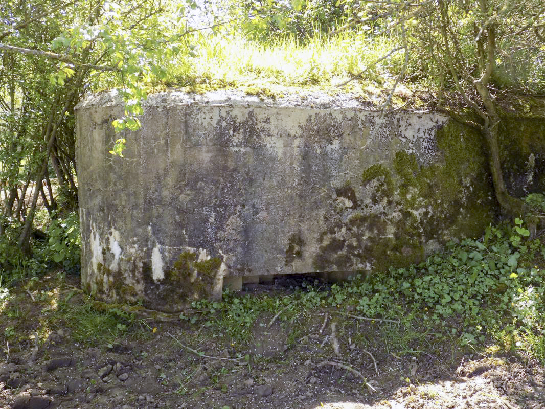 Ligne Maginot - 31TER - FOND DE LA CHAUSSEE EST - (Blockhaus pour canon) - Face gauche