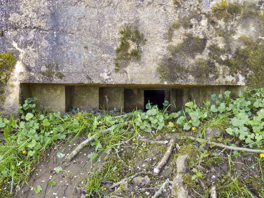 Ligne Maginot - 31TER - FOND DE LA CHAUSSEE EST - (Blockhaus pour canon) - Face gauche, créneau FM/Obs