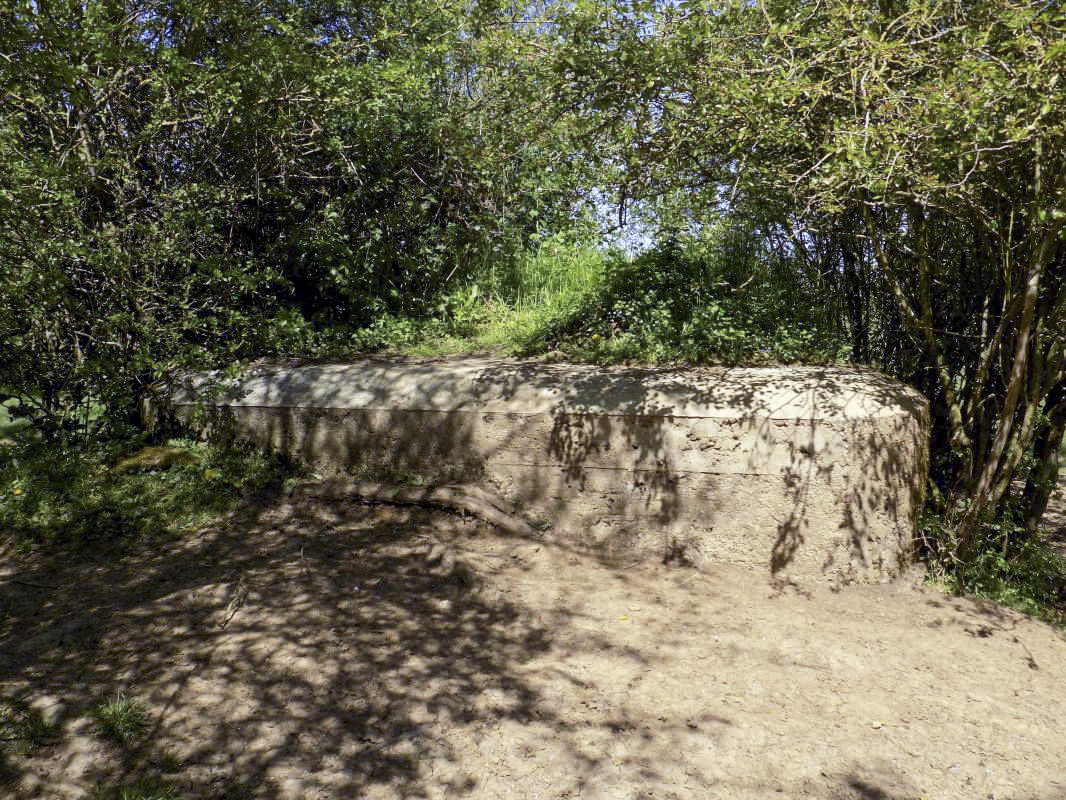Ligne Maginot - 31TER - FOND DE LA CHAUSSEE EST - (Blockhaus pour canon) - Face droite