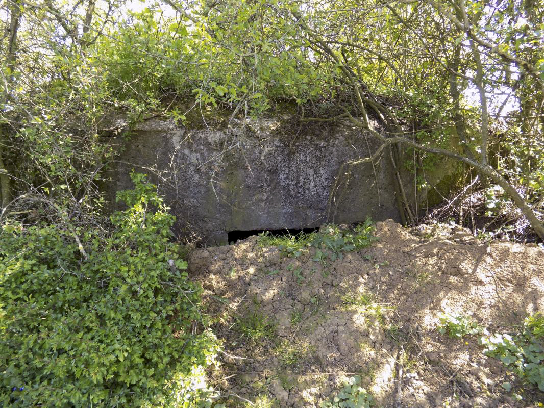 Ligne Maginot - 31TER - FOND DE LA CHAUSSEE EST - (Blockhaus pour canon) - L'arrière