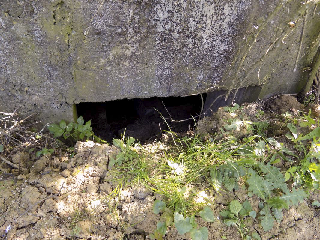 Ligne Maginot - 31TER - FOND DE LA CHAUSSEE EST - (Blockhaus pour canon) - L'entrée AC