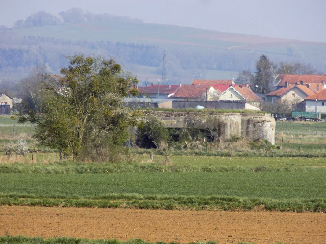 Ligne Maginot - 32A - RUISSEAU DU RIGEL - (Blockhaus pour arme infanterie) - Vue vers l'est, A102 La Mahotte