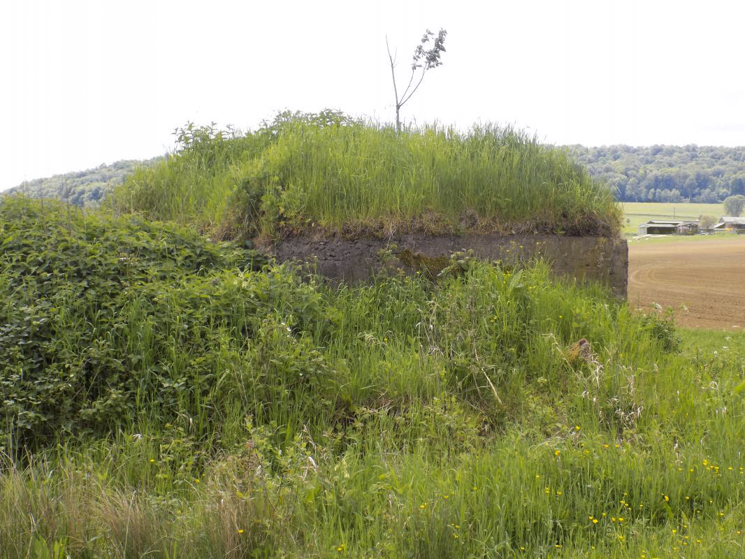 Ligne Maginot - 34A - LE BOCHET NORD - (Blockhaus pour arme infanterie) - Face gauche - R Tucker