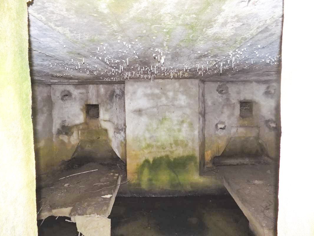 Ligne Maginot - 34A - LE BOCHET NORD - (Blockhaus pour arme infanterie) - Pris de l'entrée, les deux créneaux Hotchkiss
