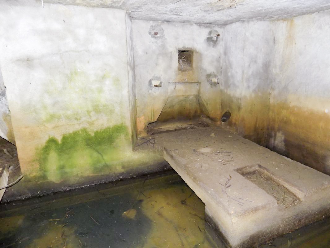 Ligne Maginot - 34A - LE BOCHET NORD - (Blockhaus pour arme infanterie) - Créneau Hotchkiss droite