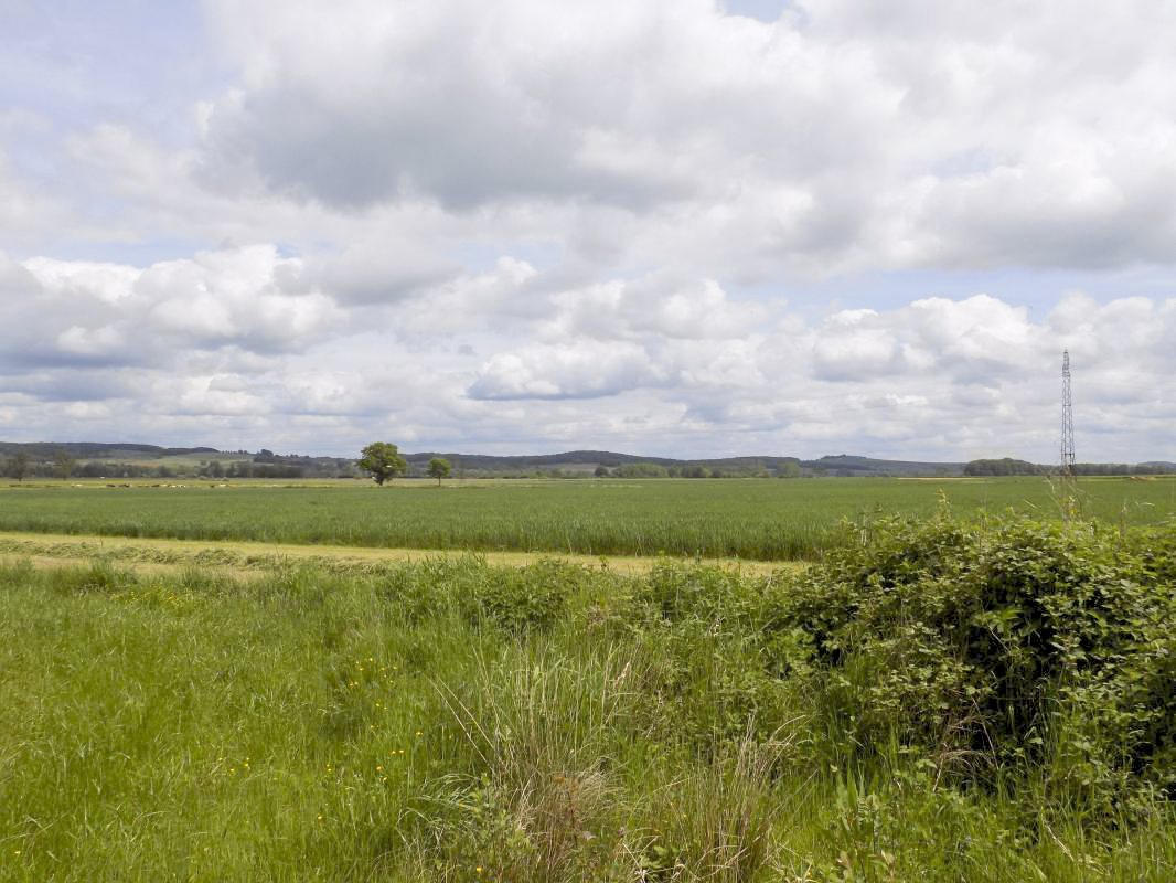 Ligne Maginot - 34A - LE BOCHET NORD - (Blockhaus pour arme infanterie) - Vue vers le nord-est, direction de tir