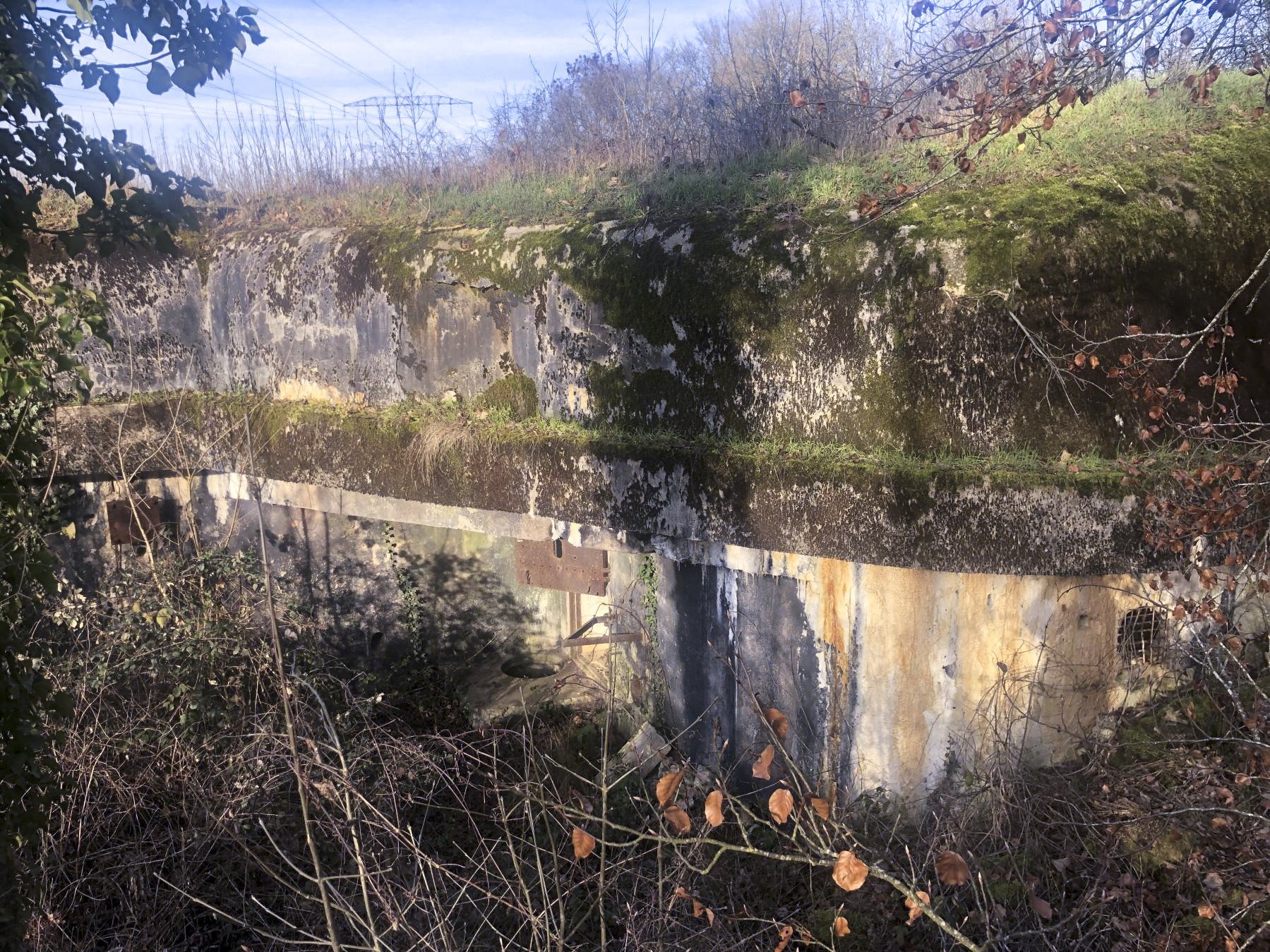 Ligne Maginot - BOIS DE LAUDREFANG NORD - C76 - (Casemate d'infanterie - Simple) -  - Claude Zimmermann