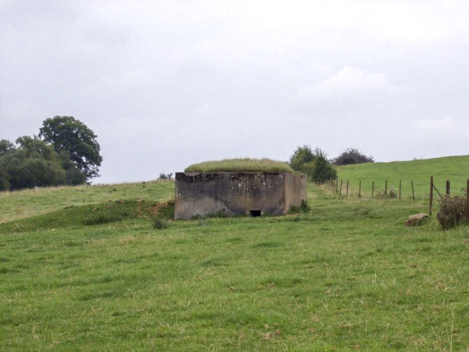 Ligne Maginot - BULTY NORD - (Blockhaus pour canon) - 