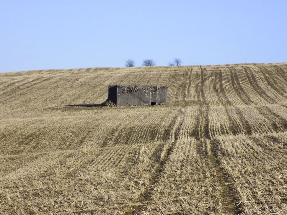 Ligne Maginot - BULTY NORD - (Blockhaus pour canon) - Face gauche pris du chemin à l'ouest