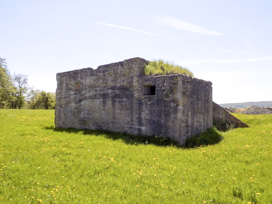 Ligne Maginot - COUPURE DE VAVENY - (Stand de tir) -  - R Tucker