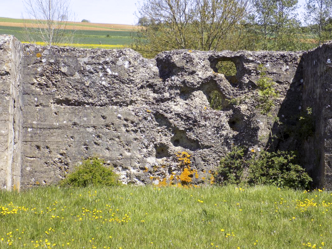 Ligne Maginot - COUPURE DE VAVENY - (Stand de tir) -  - R Tucker