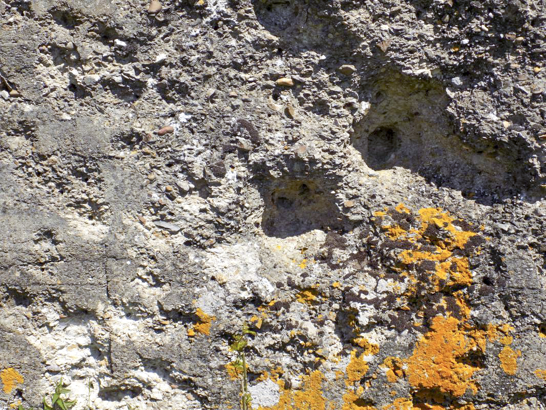 Ligne Maginot - COUPURE DE VAVENY - (Stand de tir) -  - R Tucker