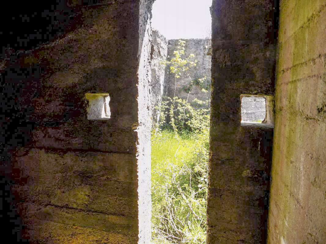 Ligne Maginot - COUPURE DE VAVENY - (Stand de tir) -  - R Tucker