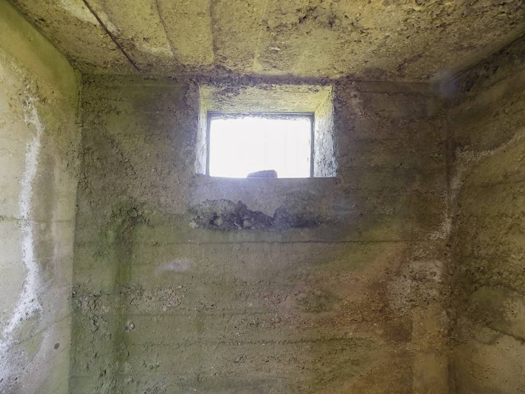 Ligne Maginot - COUPURE DE VAVENY - (Stand de tir) -  - R Tucker