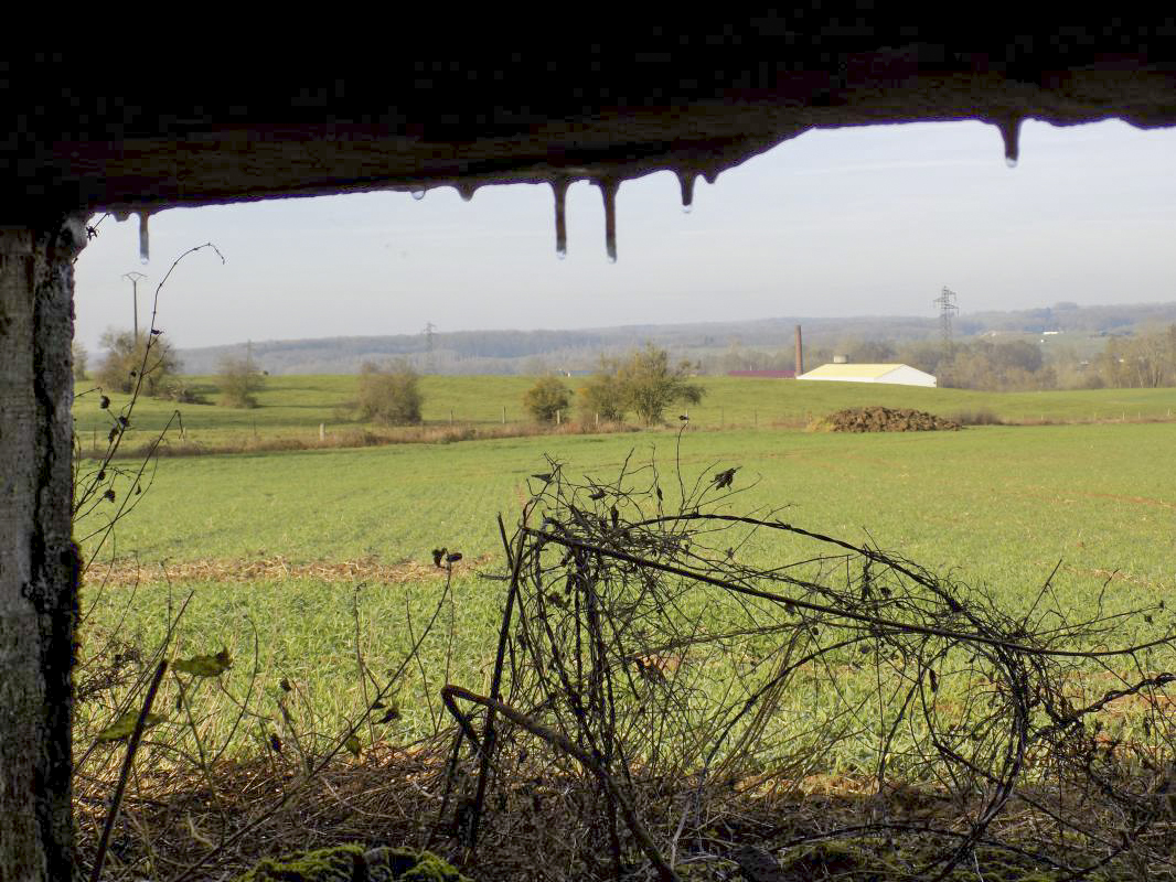 Ligne Maginot - GRAND FOSSE - (Blockhaus pour canon) - Vue vers le nord ouest - R Tucker