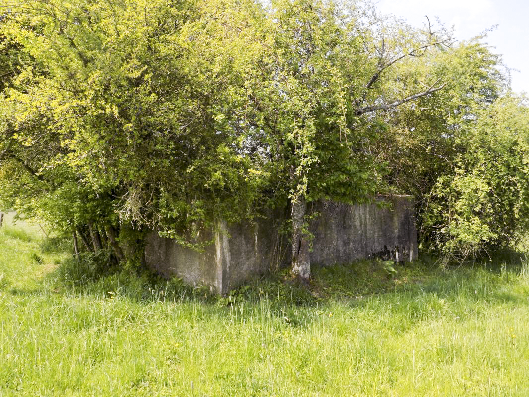Ligne Maginot - LE MOULIN - (Blockhaus pour arme infanterie) - L'arrière