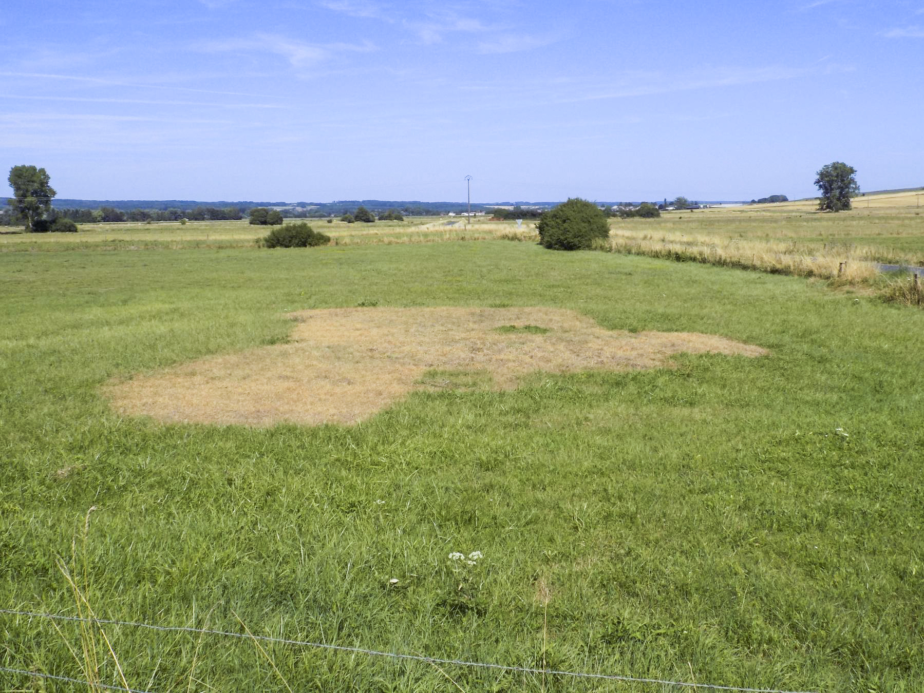 Ligne Maginot - MAIRY NORD - (Blockhaus lourd type STG / STG-FCR - Double) - La sécheresse dévoile ses secrets. Vue vers l'est, Brévilly en arrière-plan. - Richard Tucker
