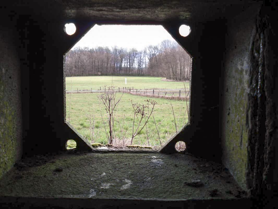 Ligne Maginot - MF21 - X - MOGUES - (Poste GRM - Maison Forte) - Vue vers l'est