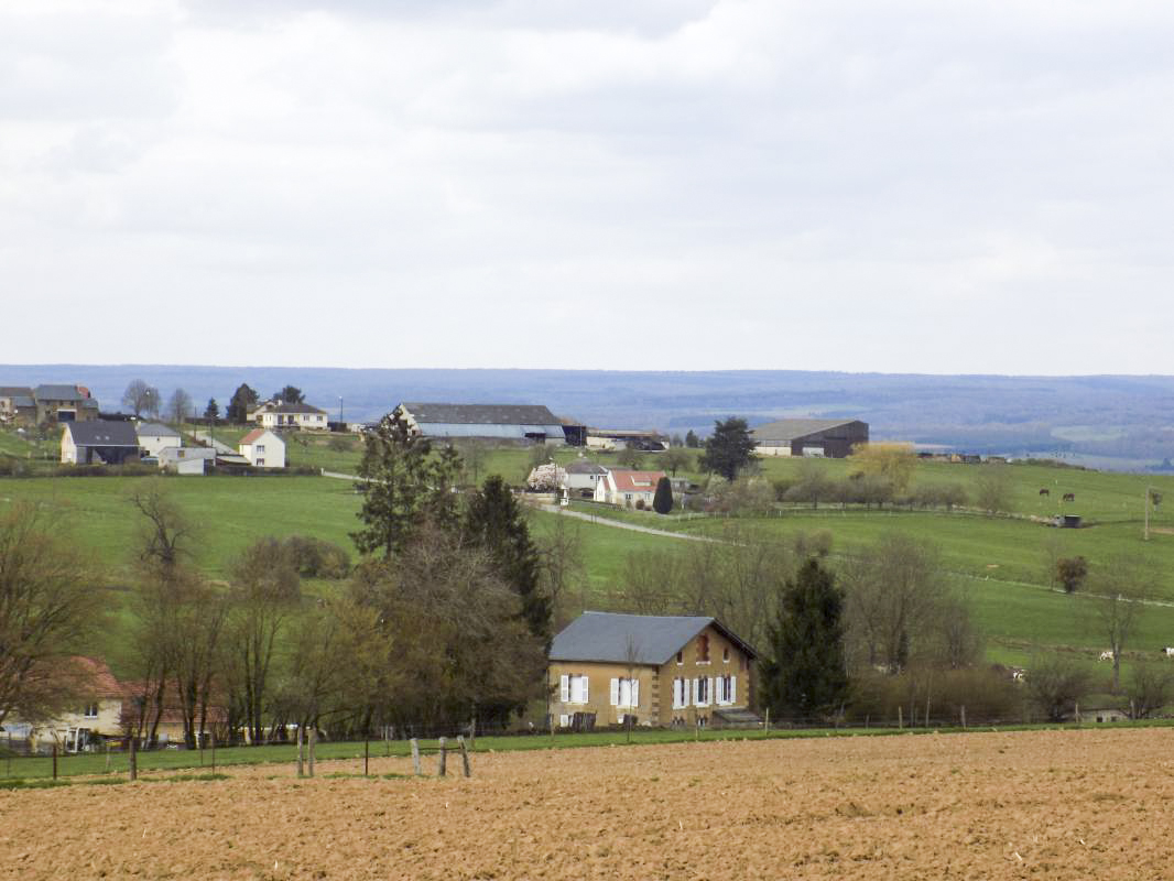 Ligne Maginot - MOULIN D'EUILLY - (Blockhaus pour canon) - Vue vers le Nord, direction de tir