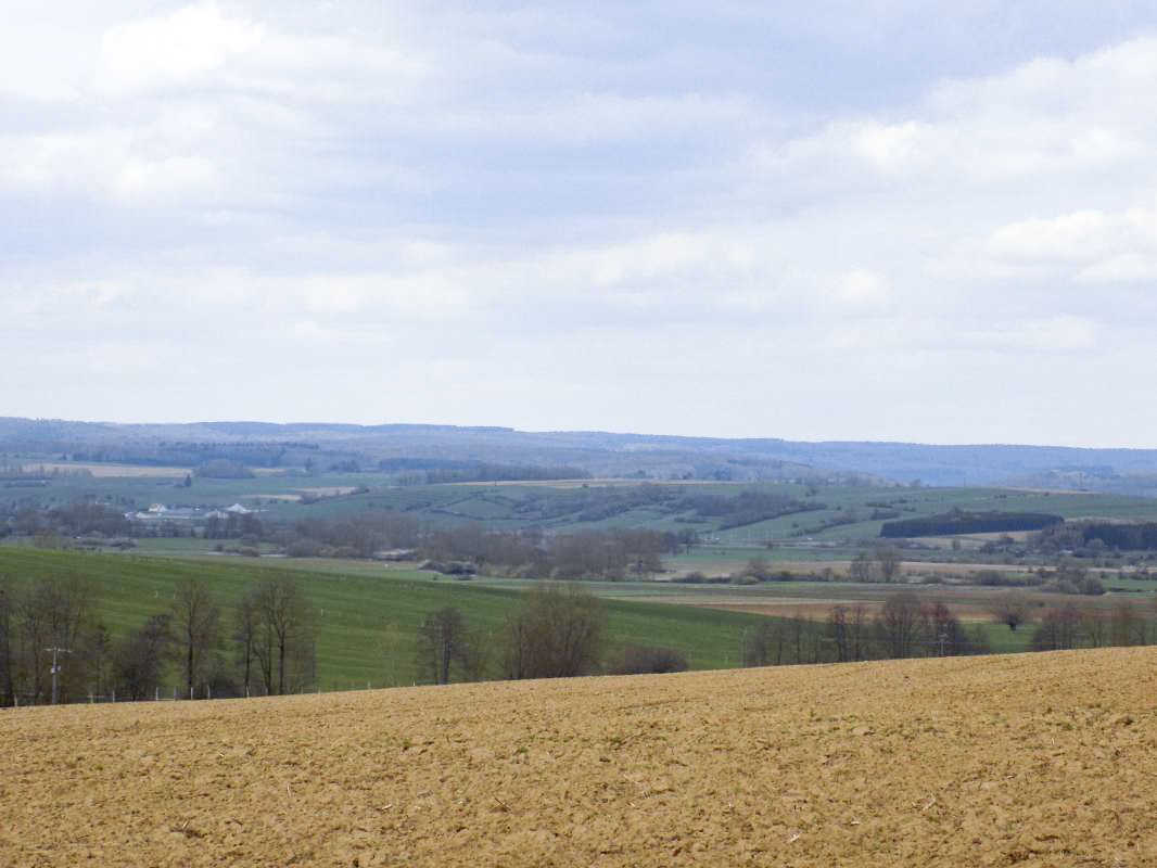 Ligne Maginot - MOULIN D'EUILLY - (Blockhaus pour canon) - Vue vers le Nord-Est