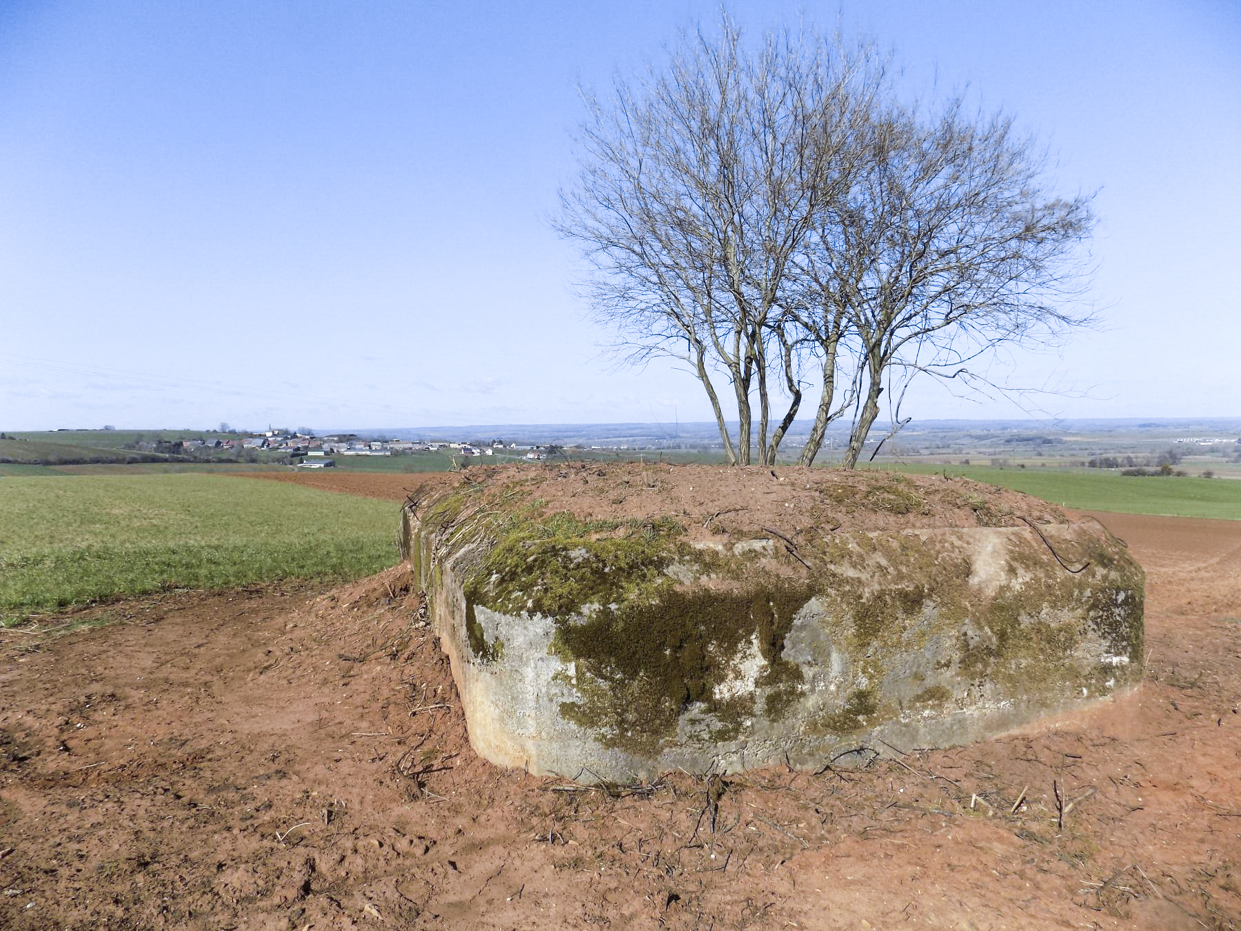 Ligne Maginot - N - LE RETAY - (Blockhaus pour canon) - Face droite: Vue de tir face gauche, Hotchkiss vers Euilly. - R Tucker