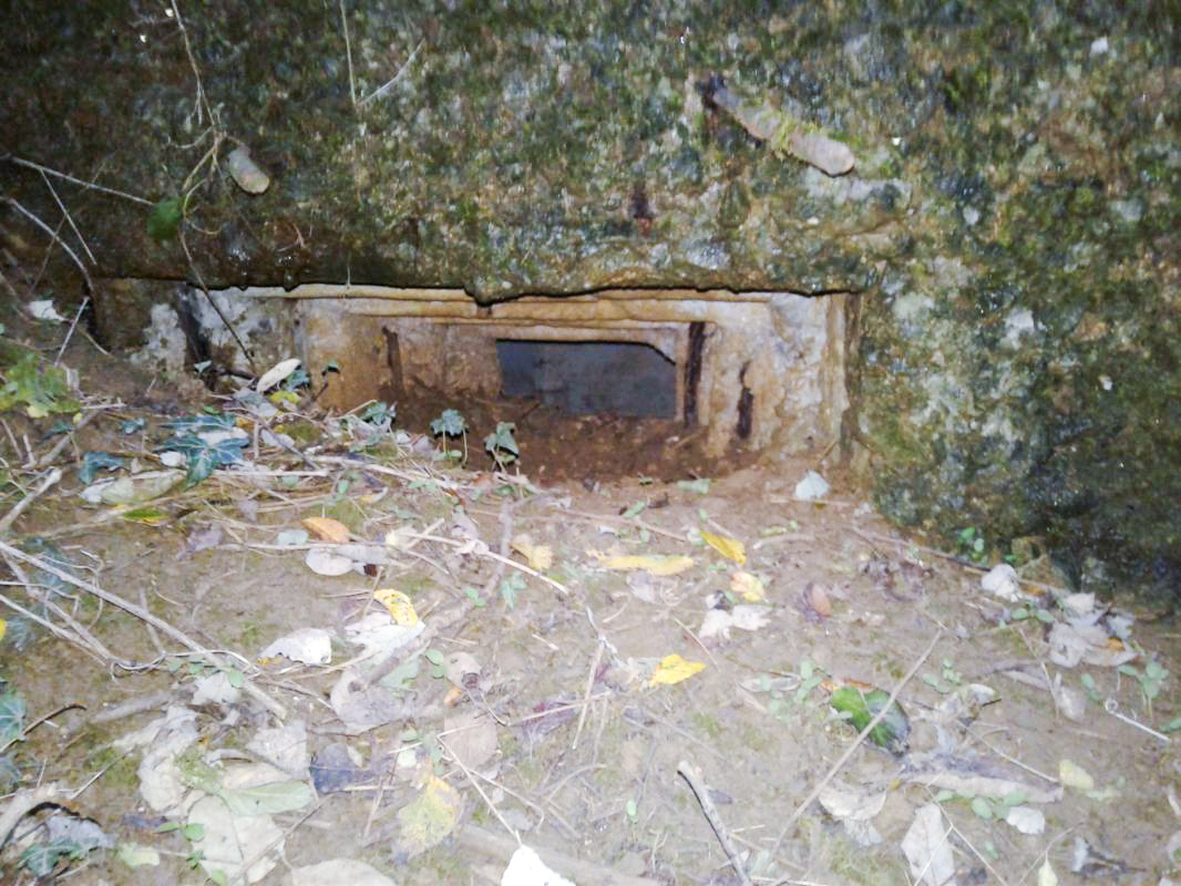 Ligne Maginot - O3 - CERNAY - (Observatoire d'infanterie) - Créneau de droite / FM - Fabrice THOMASSIN