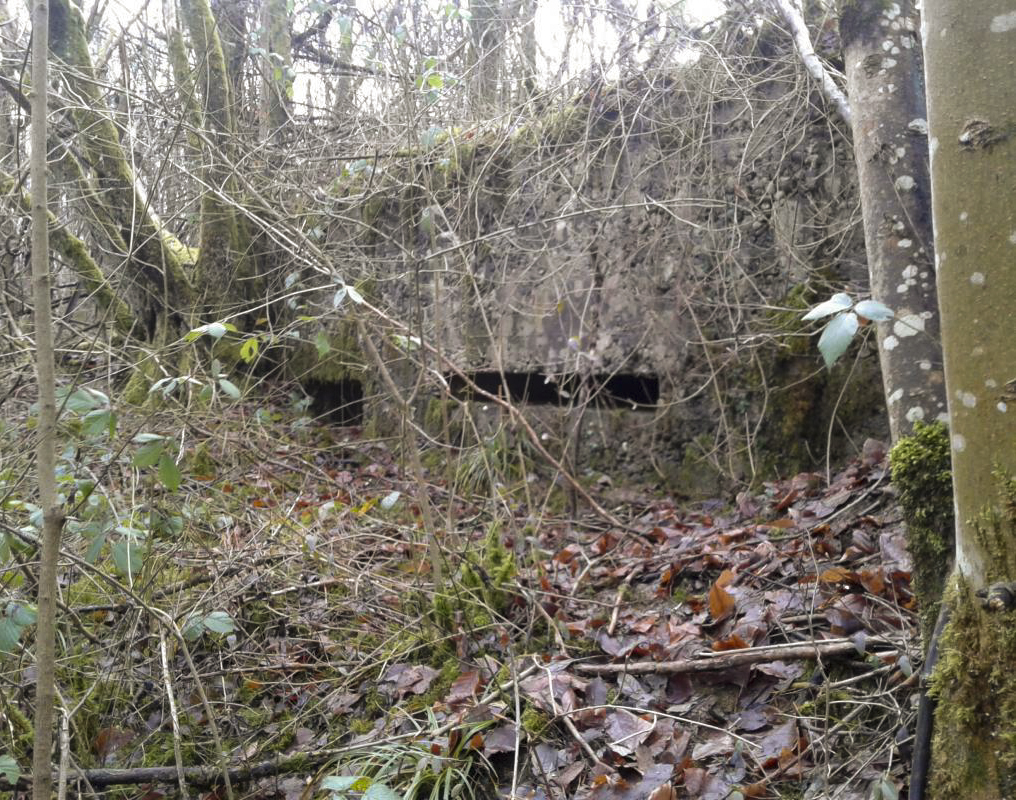 Ligne Maginot - O3 - LA TRUCHE - (Observatoire indéterminé) - Vue des deux créneaux. - Fabrice THOMASSIN