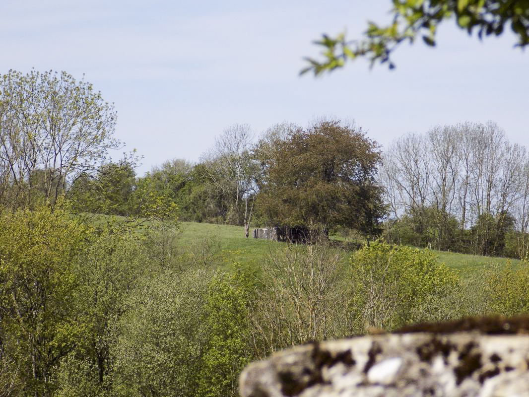 Ligne Maginot - P - FOND DE NOE NORD - (Blockhaus pour canon) - Vue vers le nord-ouest, Vaux lès Mouzon Nord