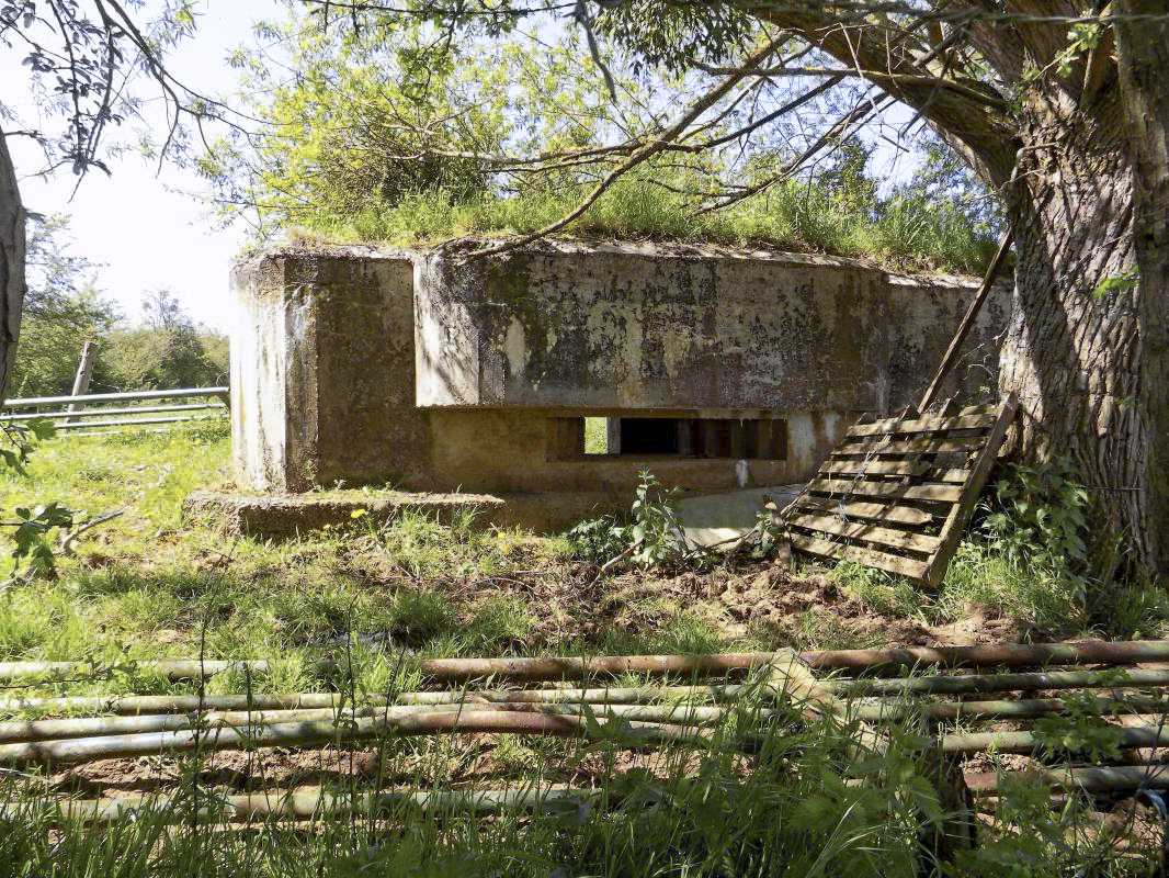 Ligne Maginot - P - FOND DE NOE NORD - (Blockhaus pour canon) - Face centrale