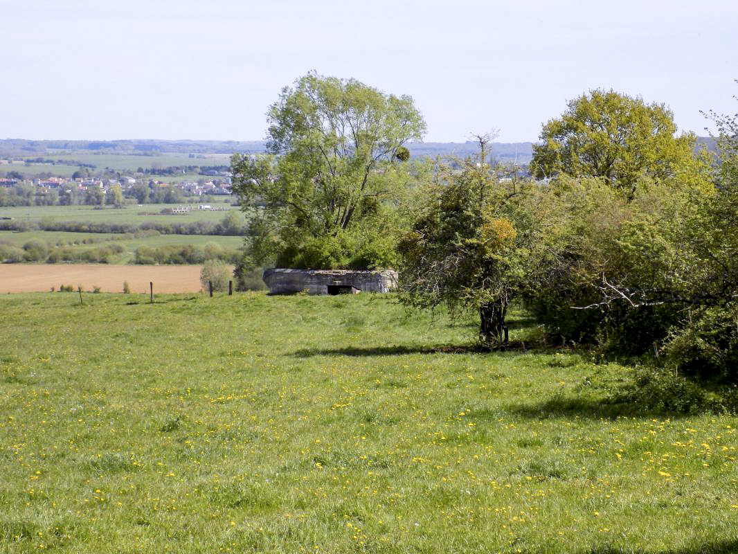 Ligne Maginot - P - FOND DE NOE NORD - (Blockhaus pour canon) - L'arrière, entrée AC, chemin le long des arbres à droite