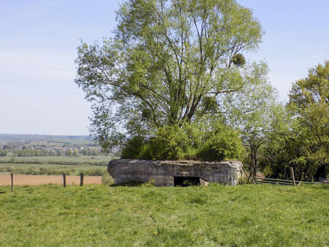Ligne Maginot - P - FOND DE NOE NORD - (Blockhaus pour canon) - L'arrière, entrée AC