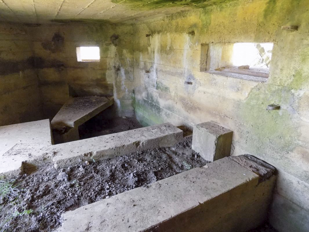 Ligne Maginot - P - FOND DE NOE NORD - (Blockhaus pour canon) - Créneaux Hotchkiss gauche et AC centrale - R Tucker