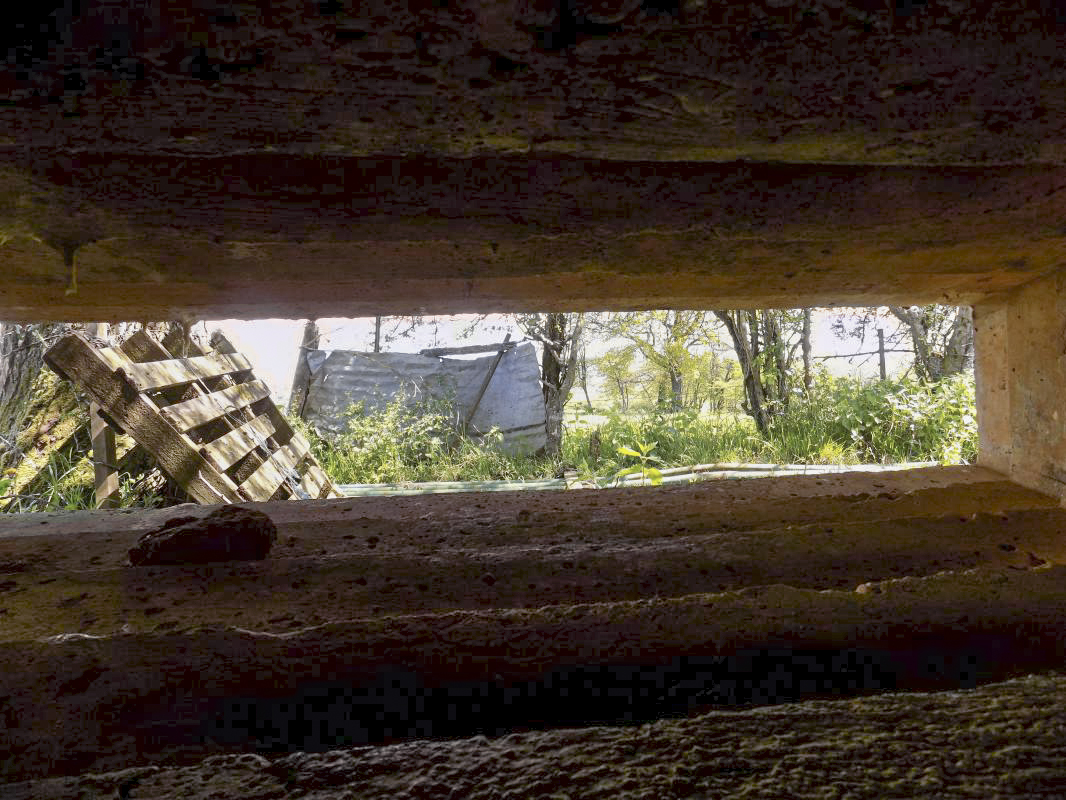 Ligne Maginot - P - FOND DE NOE NORD - (Blockhaus pour canon) - Vue du créneau AC centrale - R Tucker