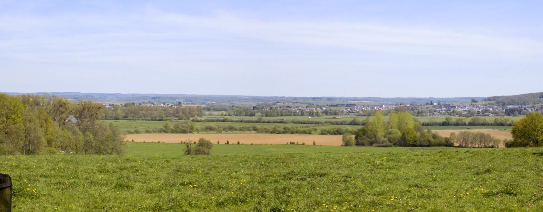 Ligne Maginot - P - FOND DE NOE NORD - (Blockhaus pour canon) - Vue vers le nord
