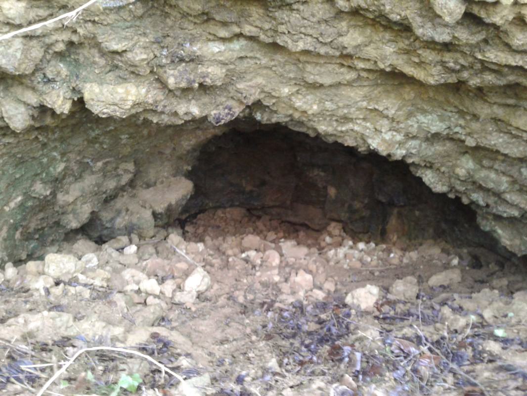 Ligne Maginot - PLUME SOURIS A1 - (Abri) - Descente en sape de droite (intérieur). - Fabrice THOMASSIN