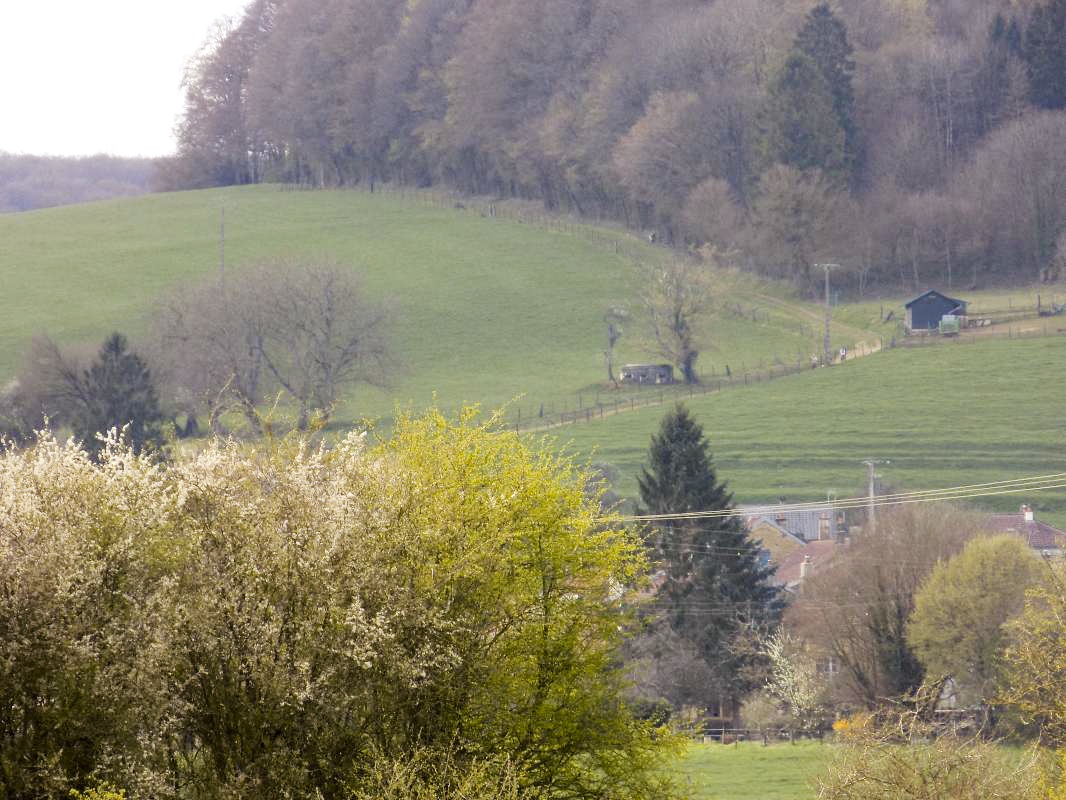 Ligne Maginot - PRE DU ROY SUD - (Abri) - Vue vers l'ouest, bloc 8C