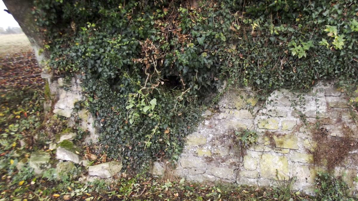 Ligne Maginot - VAUX LèS MOUZON - (Blockhaus pour arme infanterie) - Ensemble