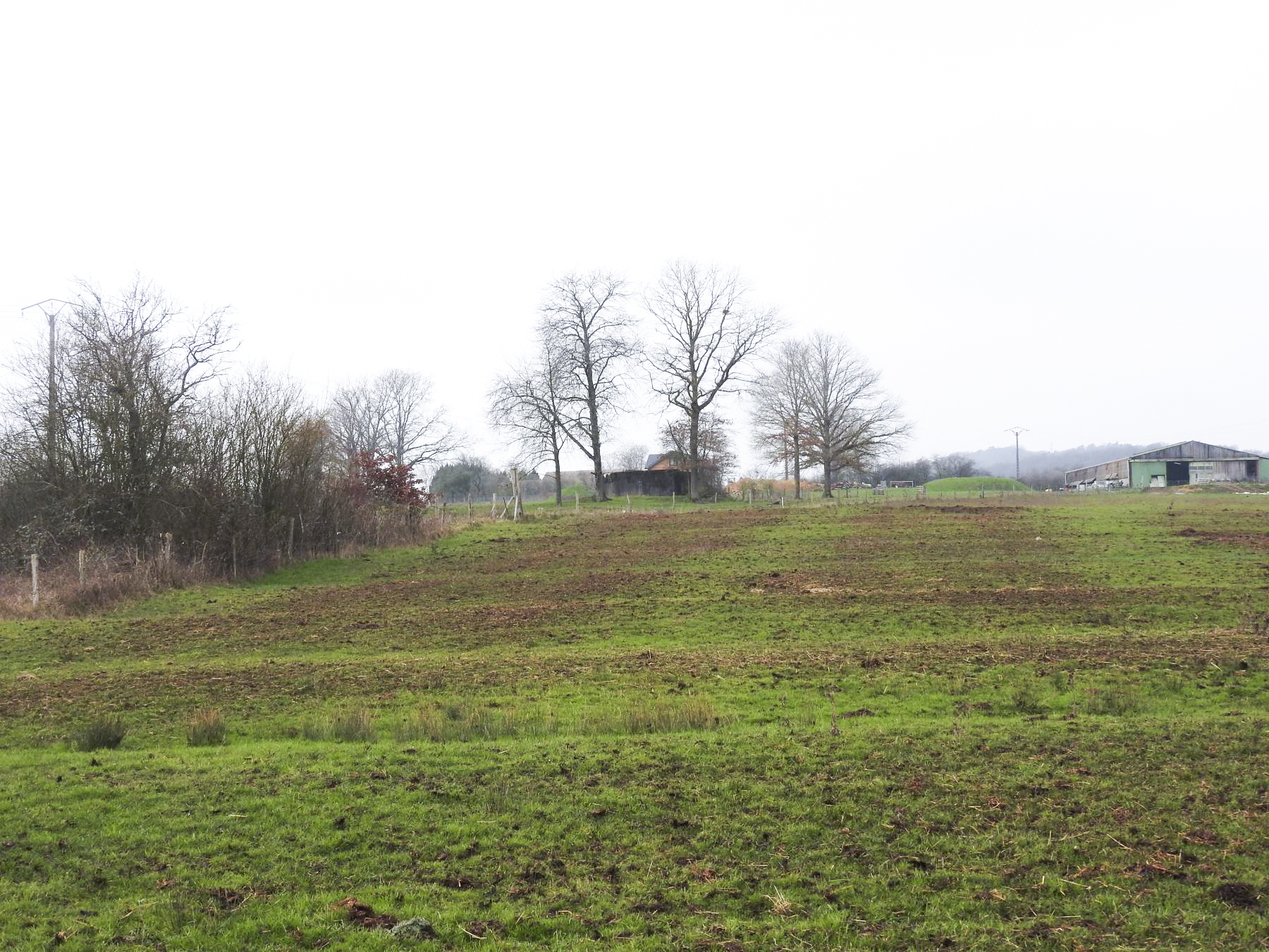 Ligne Maginot - BB314 - DALSTEIN NORD 2 - (Blockhaus pour canon) - Le blockhaus vu du nord. - STENGER Mathieu