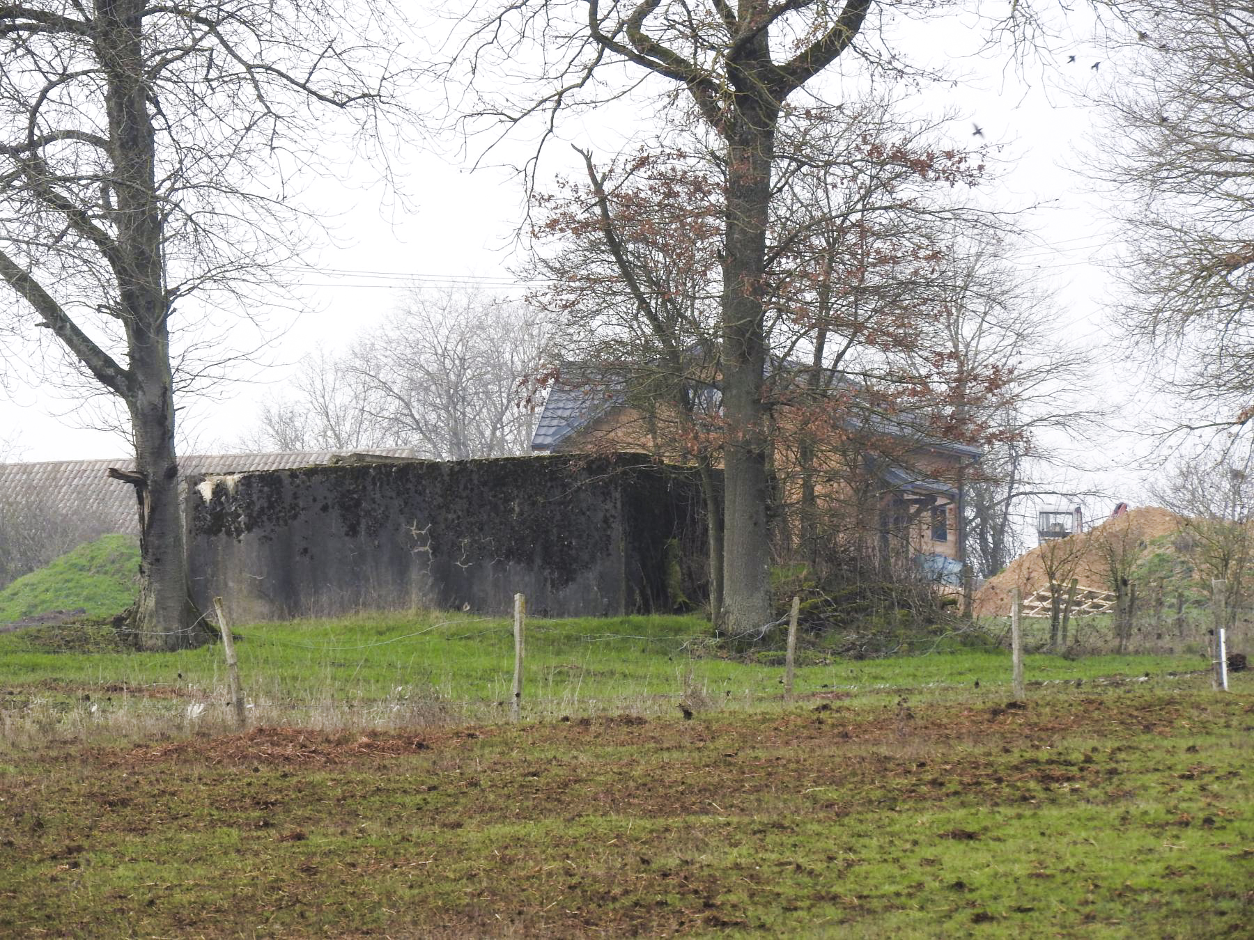 Ligne Maginot - BB314 - DALSTEIN NORD 2 - (Blockhaus pour canon) - Le blockhaus vu du nord. - STENGER Mathieu