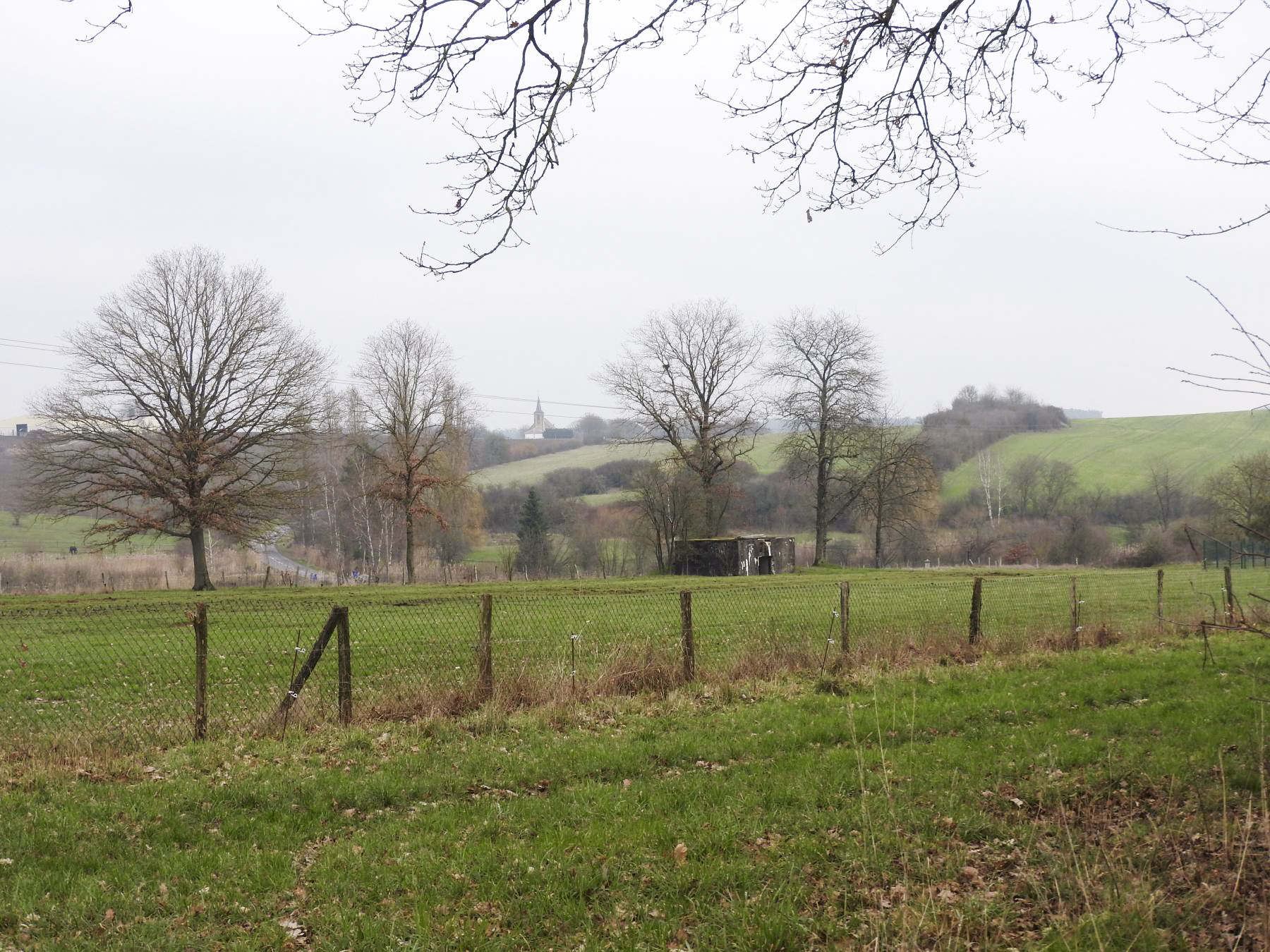 Ligne Maginot - BB314 - DALSTEIN NORD 2 - (Blockhaus pour canon) - Le blockhaus vu depuis le sud. - STENGER Mathieu