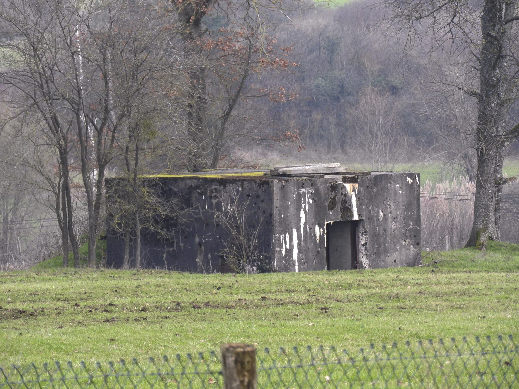 Ligne Maginot - BB314 - DALSTEIN NORD 2 - (Blockhaus pour canon) - La façade arrière avec l'entrée. - STENGER Mathieu