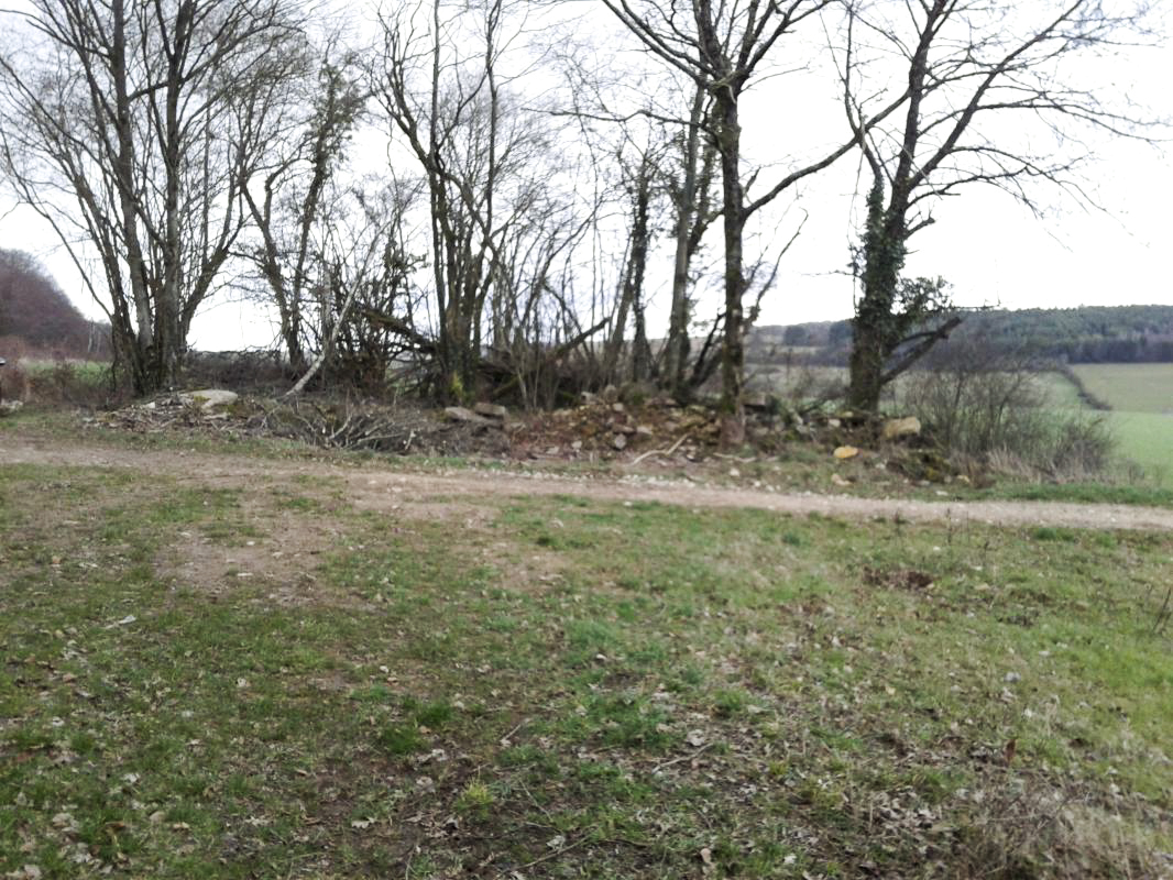 Ligne Maginot - 33 - (Chambre de coupure) -  La chambre de coupure se trouve dans le bosquet, sous des gravats rapportés. - Fabrice THOMASSIN