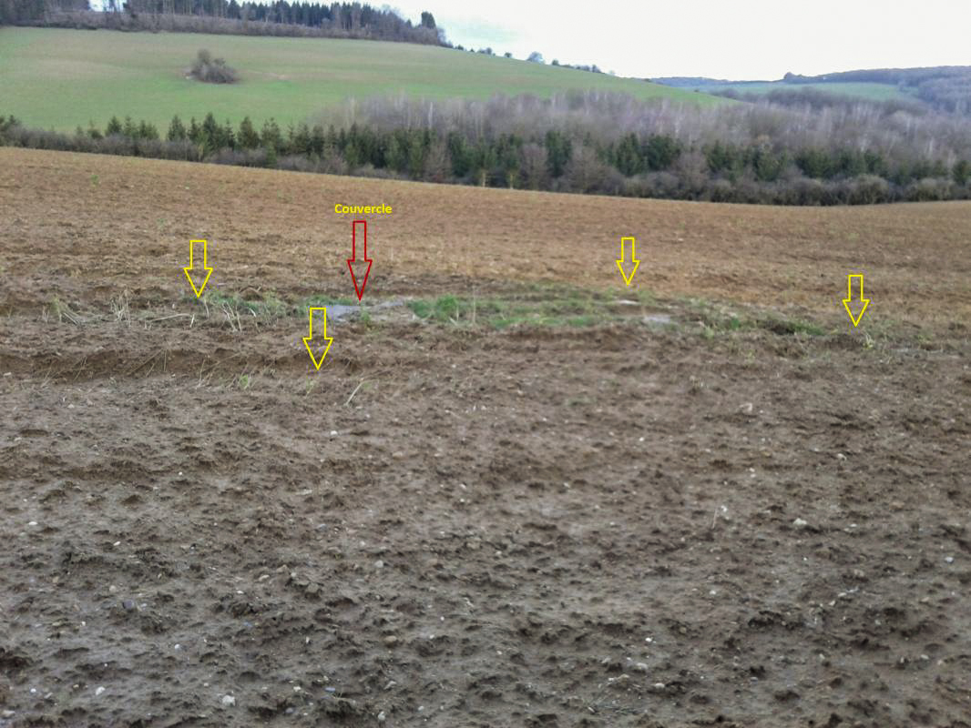 Ligne Maginot - 34 - (Chambre de coupure) - Le massif bétonné affleure et trois angles peuvent être devinés. - Fabrice THOMASSIN