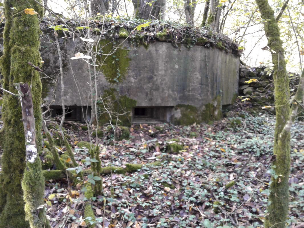 Ligne Maginot - 66BIS - BOIS LE SART CENTRE - (Blockhaus pour arme infanterie) - Vue extérieure des trois créneaux.